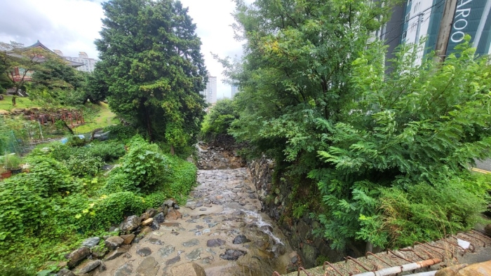 일련번호3),6)토지 전경