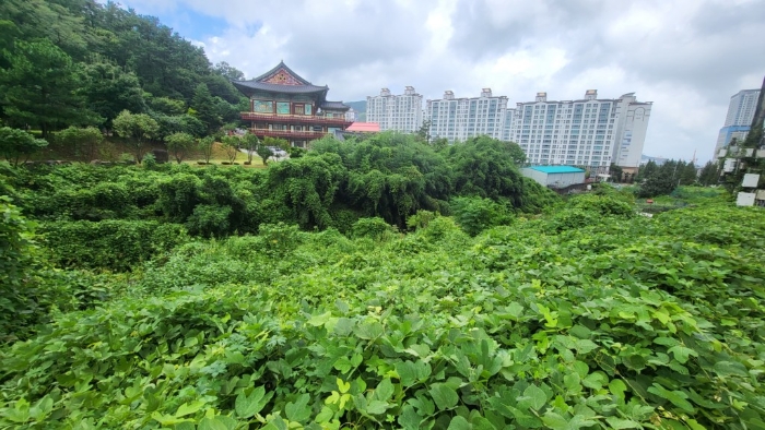 일련번호5)토지 전경