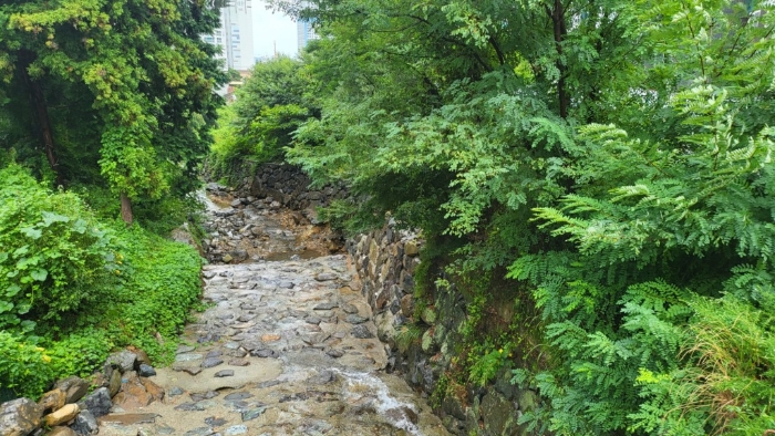 일련번호6)토지 전경