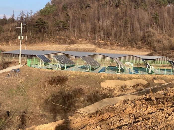 본건 원거리 전