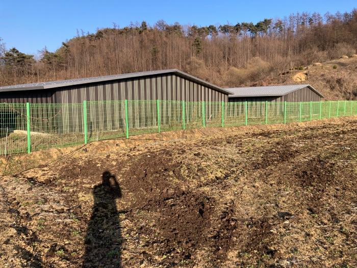 본건 남측부 기