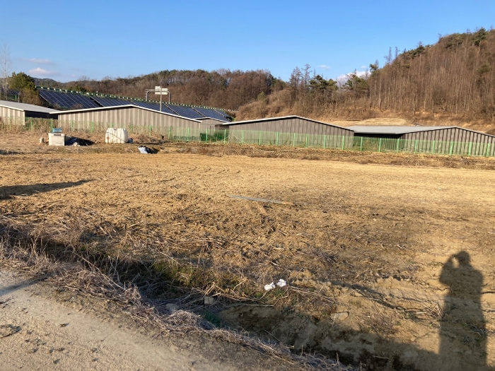 본건 원거리 전