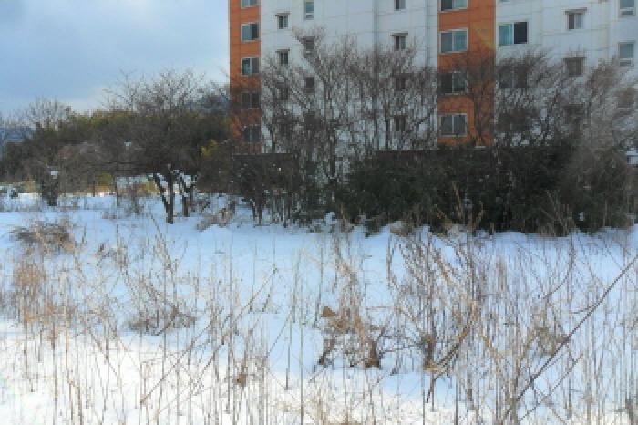 부동산표시 제3호