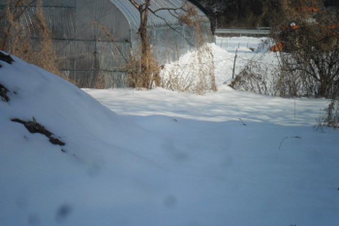 부동산표시 제4호