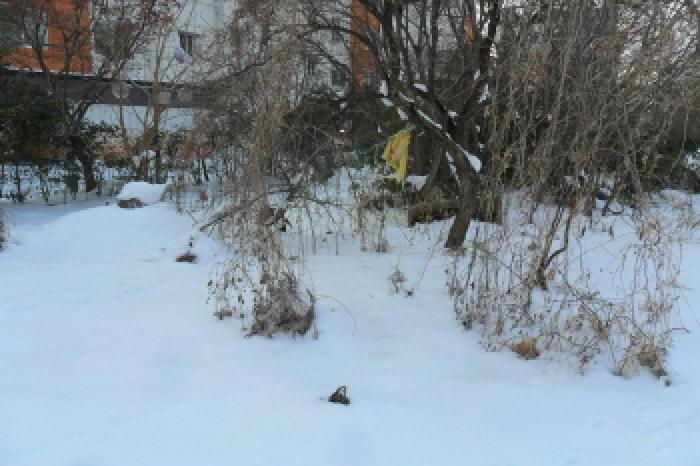 부동산표시 제3호