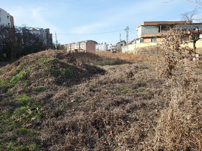 기호(1-6) : 남동측에서 북서측으로 촬영