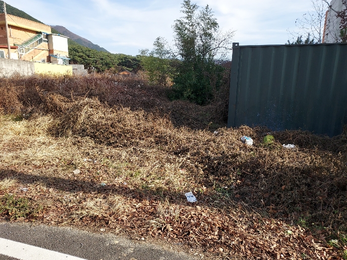 기호(1-6) 및 제시외컨테이너(감정제외) : 서측에서 동측으로 촬영