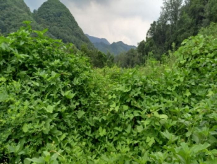 목록 1. 토지 전경