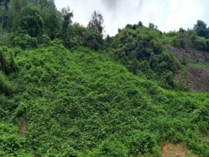 목록 5. 토지 전경