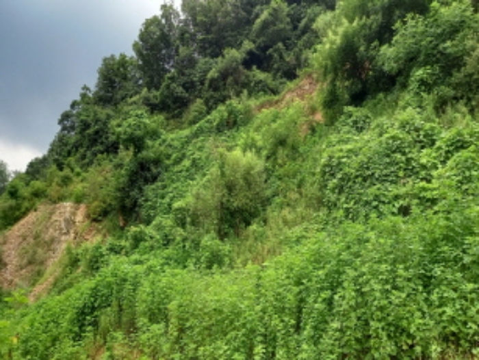 목록 5. 토지 전경