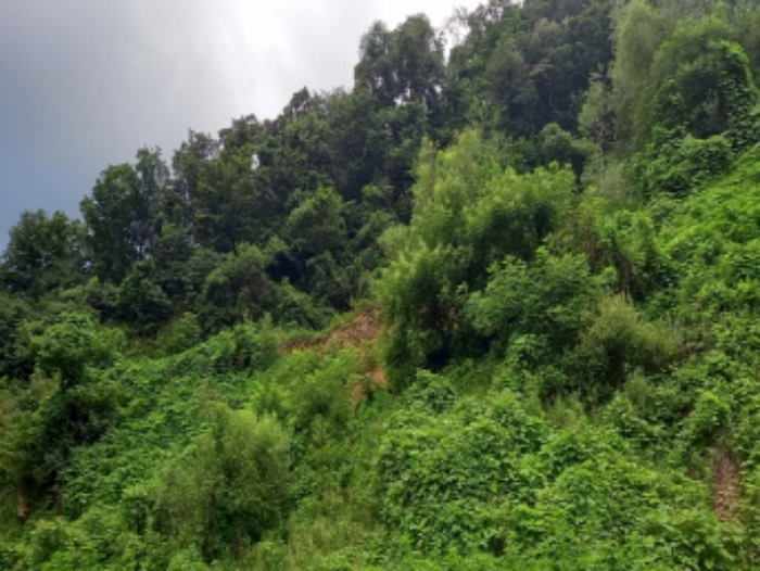 목록 5. 토지 전경