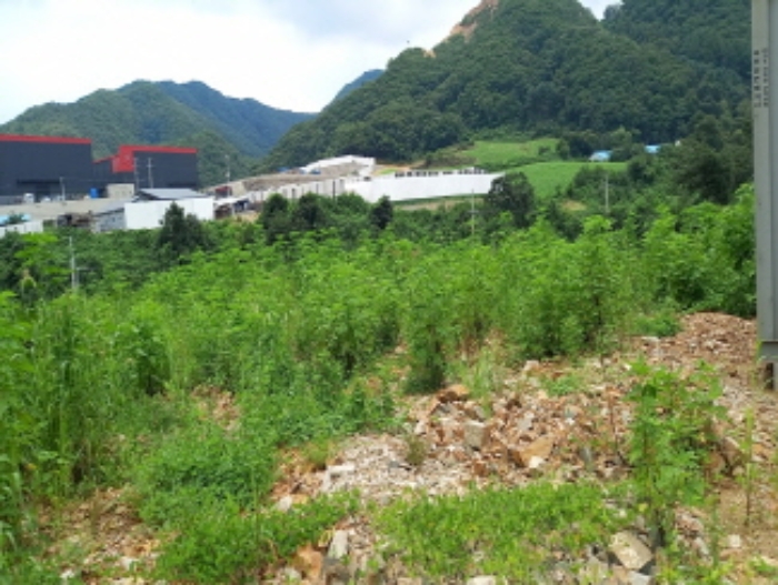 목록 7. 토지 전경