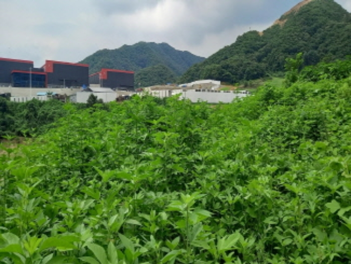 목록 8. 및 목록 9. 토지 전경