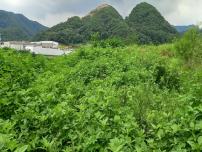 목록 8. 및 목록 9. 토지 전경