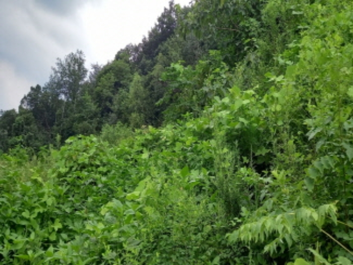 목록 1. 토지 전경