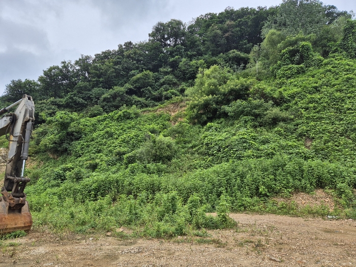 [ 기호(5) 전경 ]