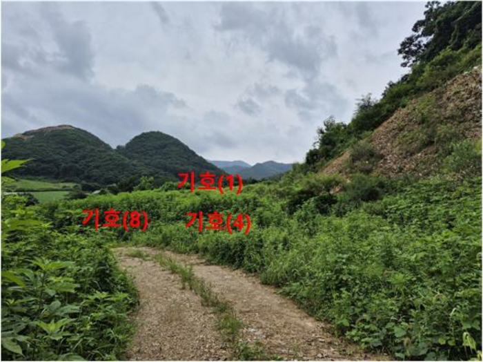 [기호(1,4,8) 전경]