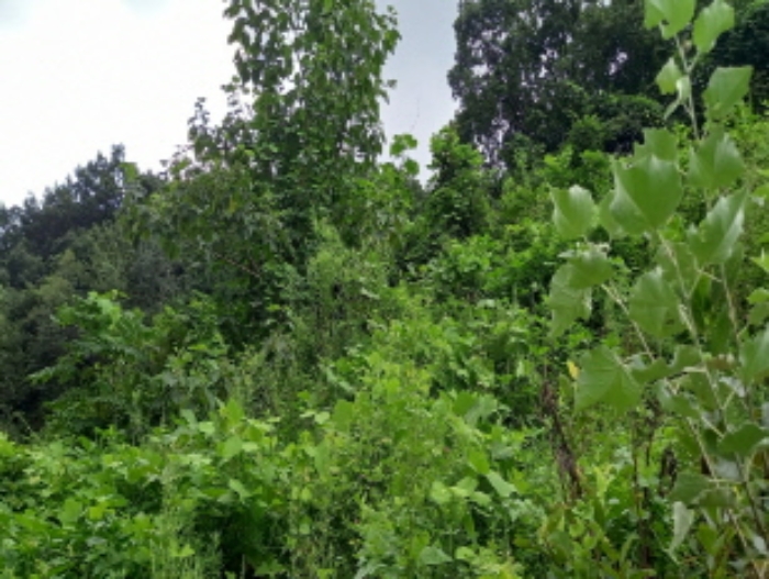 목록 1. 토지 전경