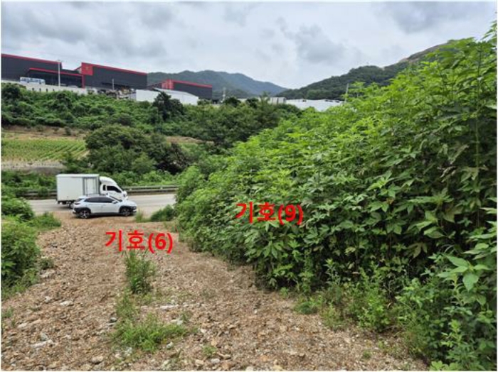 [ 기호(6,9) 전경]