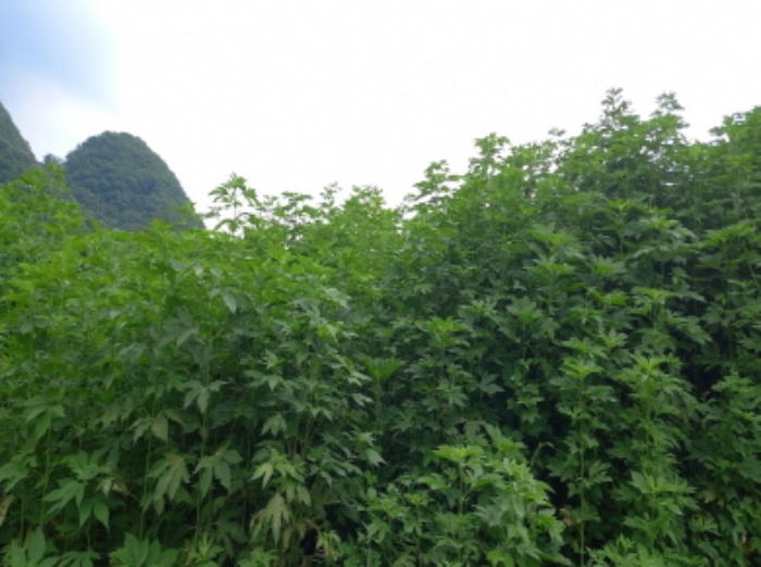 목록 1. 토지 전경