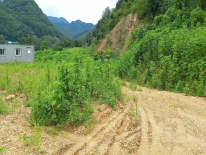 목록 3. 토지 전경