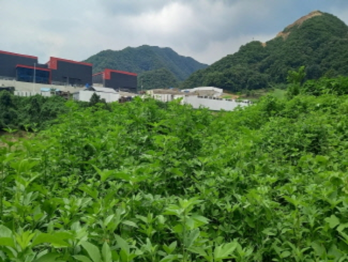 목록 4. 토지 전경