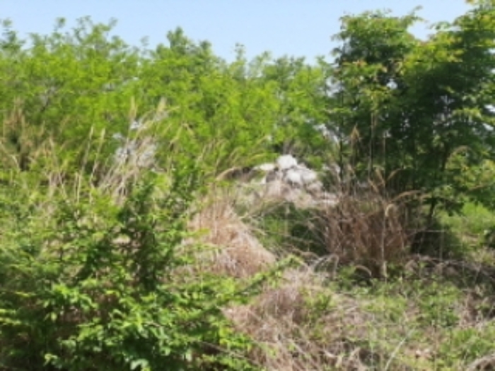 목록4 전경(도로옆 숲-평탄작업 이후 잡풀,잡목이 우거짐)