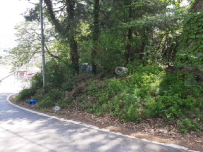 목록3 전경(도로옆 경사면)