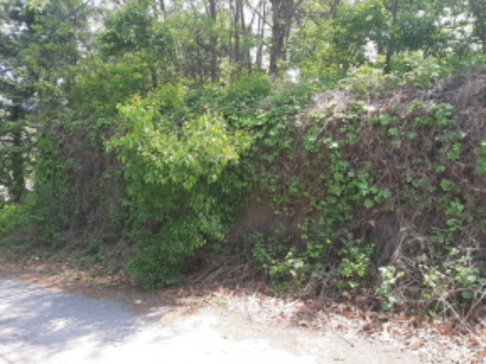 목록4 전경(도로에서 석축을 쌓아 평탄작업)