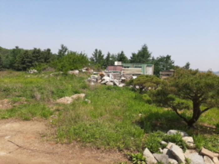 목록2 전경(평탄작업을 한 나대지-끝쪽 경계부근에 제시외 컨테이너,정원석 무더기,앞쪽에 정원수)