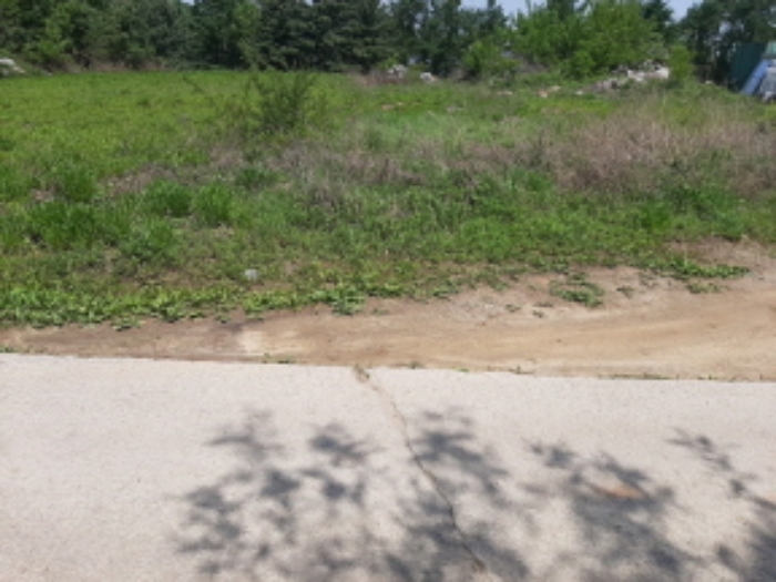 목록5 전경(도로옆 나대지-잡풀이 자라고 있음-끝부분에 제시외 정원석이 쌓여 있음)