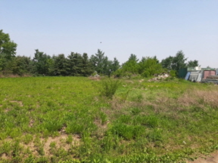 목록5 전경(도로옆 나대지-잡풀이 자라고 있음-끝부분에 제시외 정원석이 쌓여 있음)