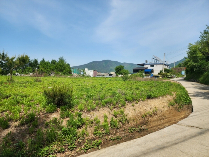 기호(2),(5) 전경 1