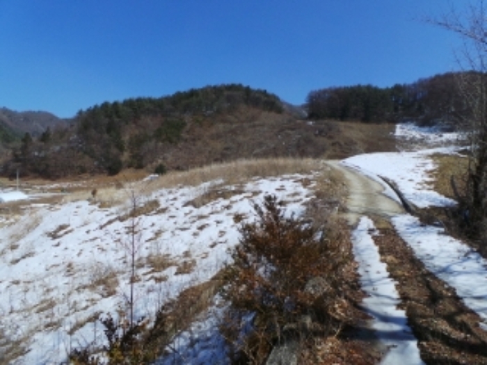 본건 근거리에서 촬영한 것임