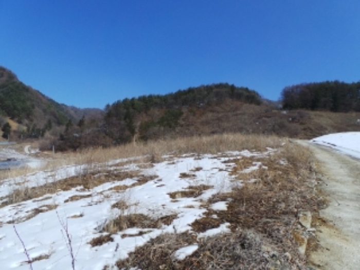 본건 근거리에서 촬영한 것임