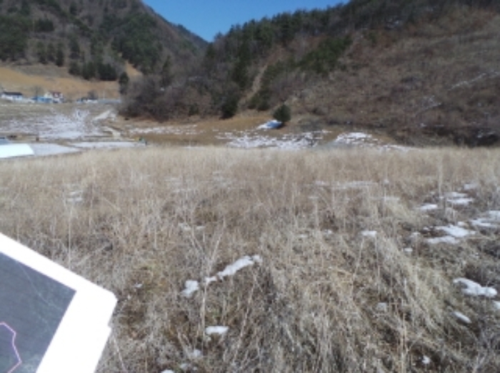 본건 근거리에서 촬영한 것임