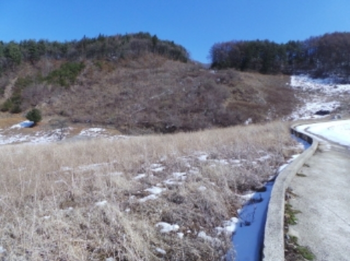 본건 근거리에서 촬영한 것임