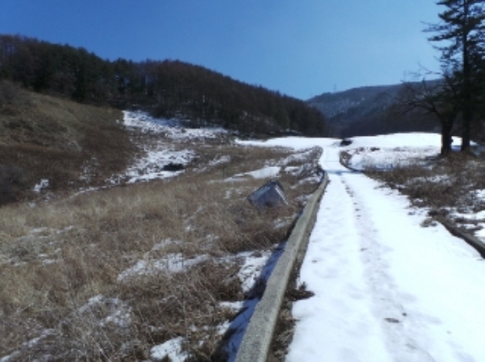 본건 근거리에서 촬영한 것임