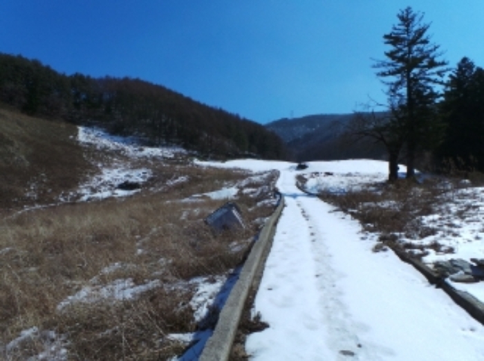 본건 근거리에서 촬영한 것임