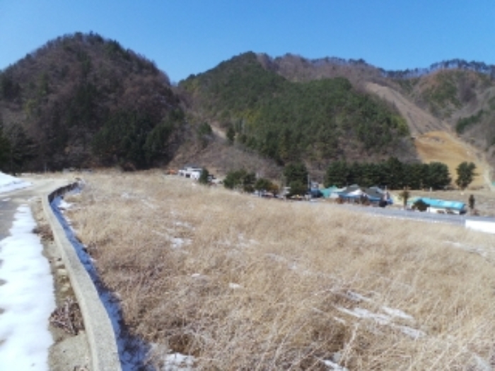 본건 근거리에서 촬영한 것임