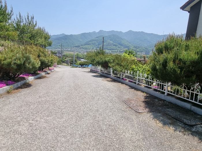 기호6 전경(서측 도로)