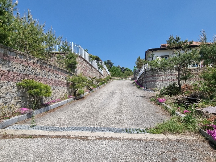 기호6 전경(남측 도로)