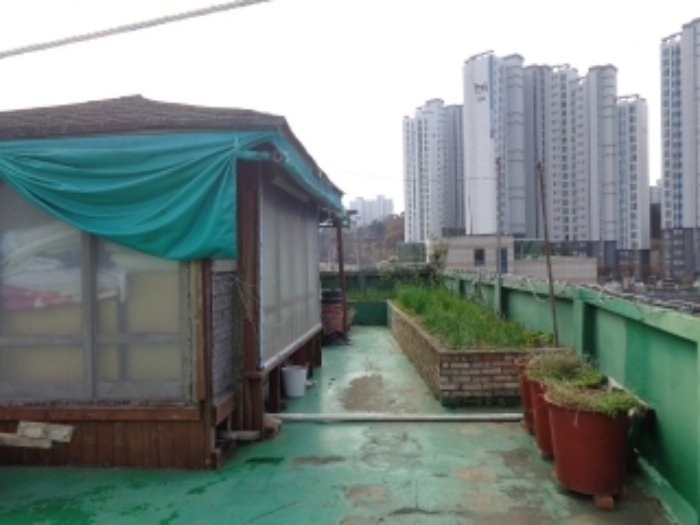 옥상에 있는 제