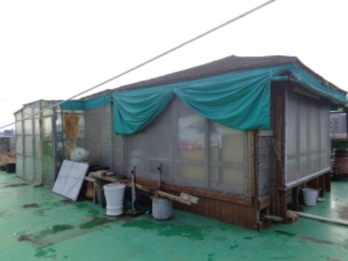 옥상에 있는 제