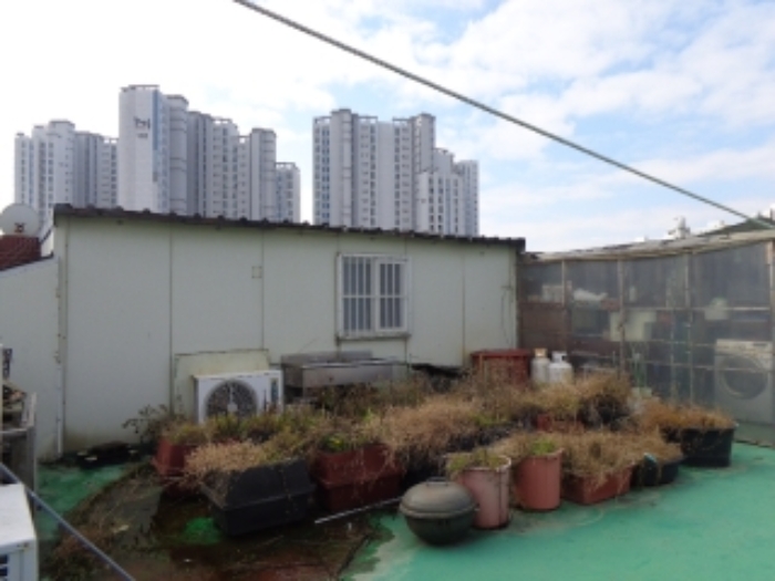 옥상에 있는 옥