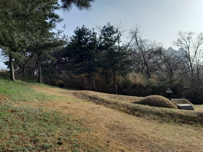 본건 전경(북측 근거리촬영)