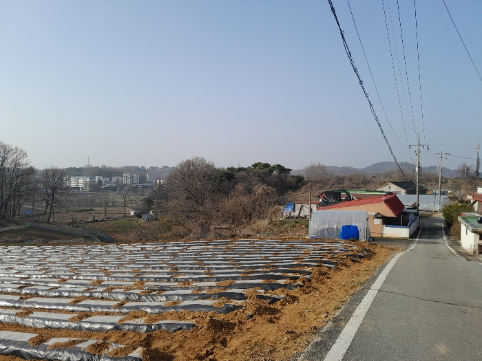 본건 전경(남동측에서 촬영)