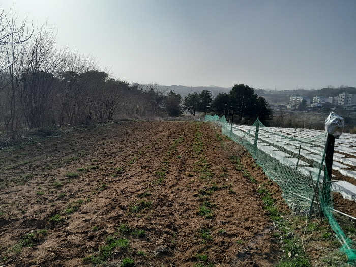 본건 전경(동측에서 촬영)