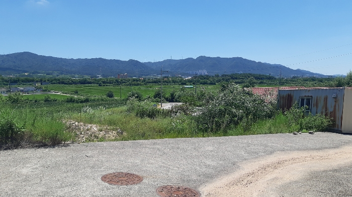 본건 번호 (6) 토지 하단부 젼경