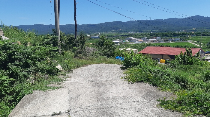 본건 번호 (7) 토지 젼경2